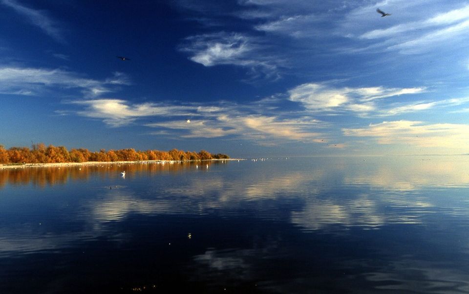 Salton Sea State Recreation Area