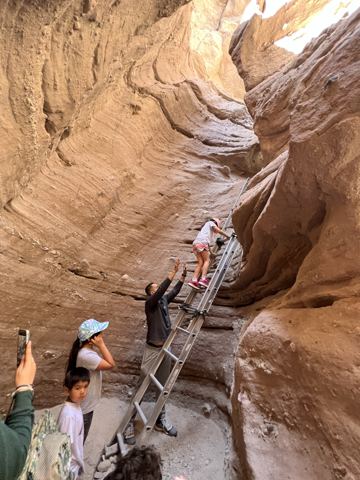 The ladders: kids first, spotters below