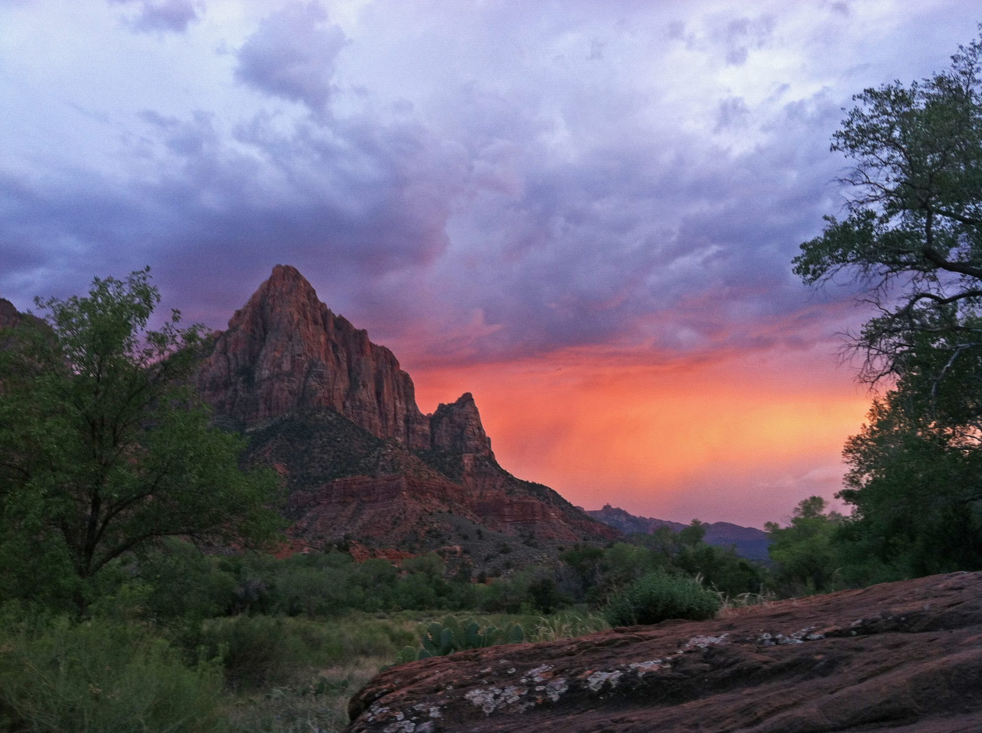 Zion Canyon at sunrise with the Virgin River below towering red and cream sandstone walls