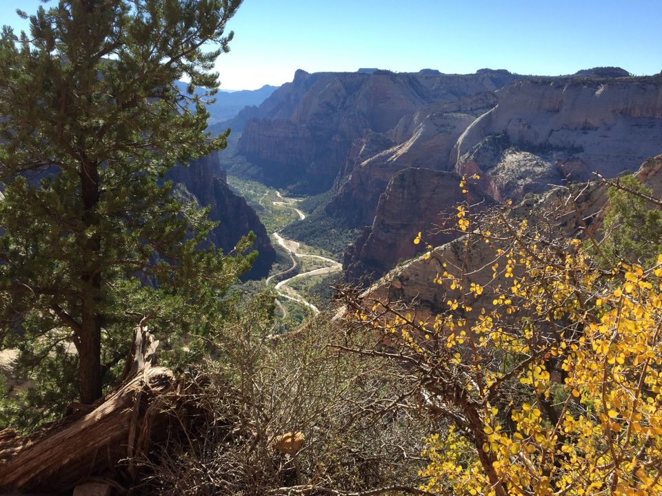 Watchman Trail