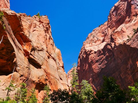 Kolob Canyons & Timber Creek Overlook