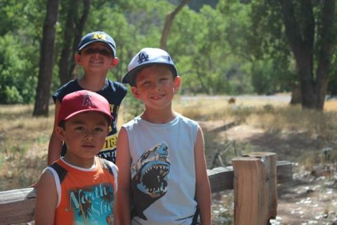 Cottonwood shade on the canyon floor — the easy part of the day